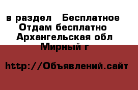  в раздел : Бесплатное » Отдам бесплатно . Архангельская обл.,Мирный г.
